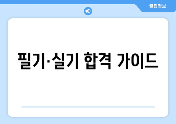 필기·실기 합격 가이드