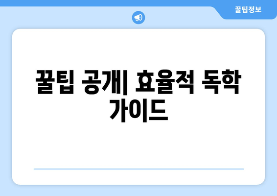 꿀팁 공개| 효율적 독학 가이드