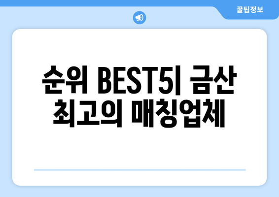 순위 BEST5| 금산 최고의 매칭업체