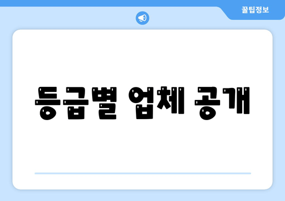 등급별 업체 공개