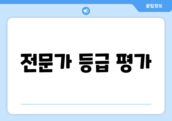 전문가 등급 평가