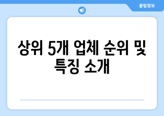 상위 5개 업체 순위 및 특징 소개