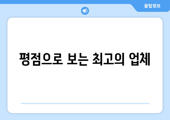 평점으로 보는 최고의 업체