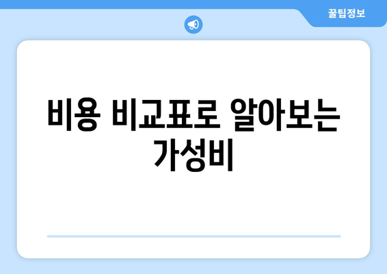 비용 비교표로 알아보는 가성비