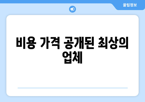 비용 가격 공개된 최상의 업체