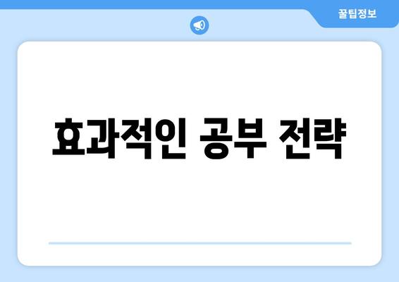 효과적인 공부 전략