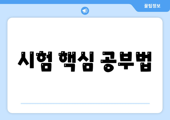 시험 핵심 공부법