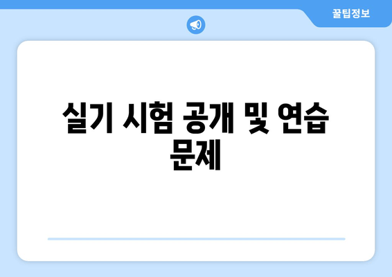 실기 시험 공개 및 연습 문제