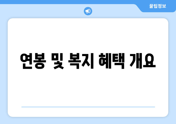 연봉 및 복지 혜택 개요