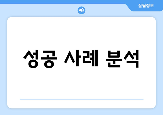 성공 사례 분석