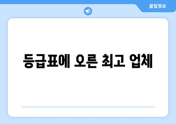 등급표에 오른 최고 업체