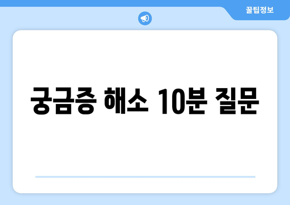 궁금증 해소 10분 질문