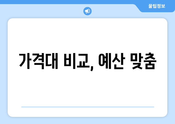 가격대 비교, 예산 맞춤