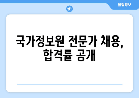 국가정보원 전문가 채용, 합격률 공개