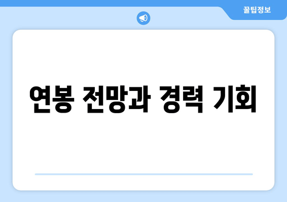 연봉 전망과 경력 기회