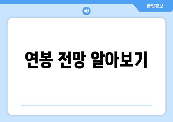 연봉 전망 알아보기