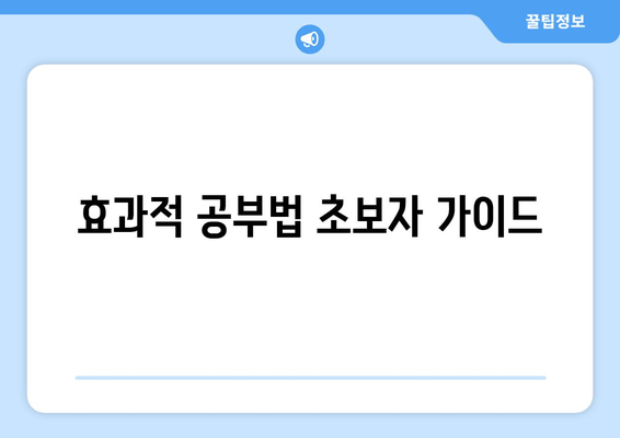 효과적 공부법 초보자 가이드