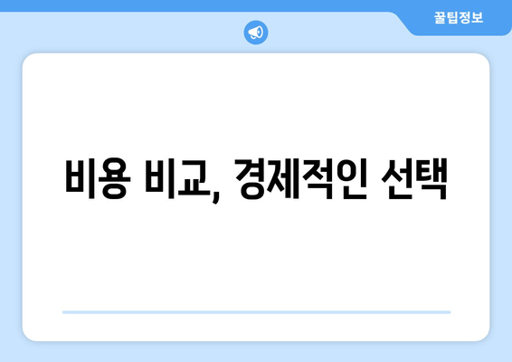 비용 비교, 경제적인 선택