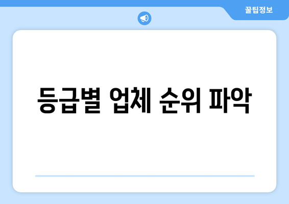 등급별 업체 순위 파악