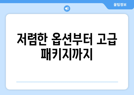 저렴한 옵션부터 고급 패키지까지