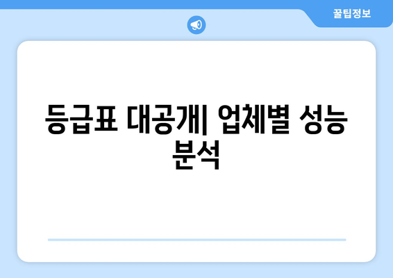 등급표 대공개| 업체별 성능 분석