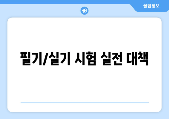 필기/실기 시험 실전 대책