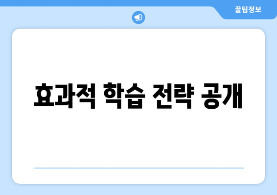 효과적 학습 전략 공개