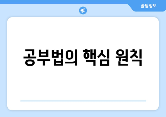 공부법의 핵심 원칙