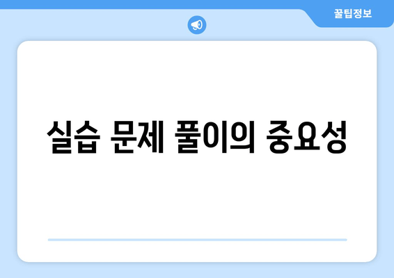 실습 문제 풀이의 중요성