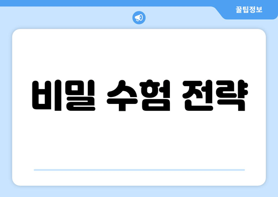 비밀 수험 전략