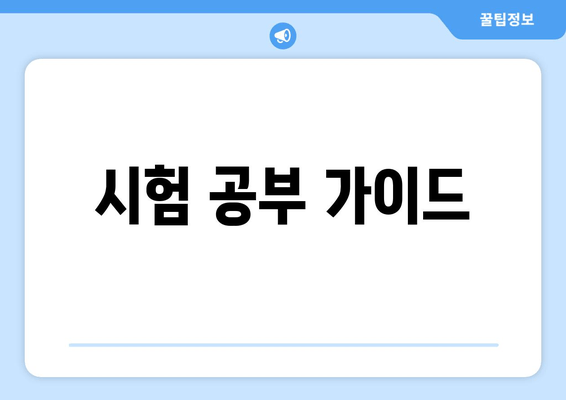 시험 공부 가이드