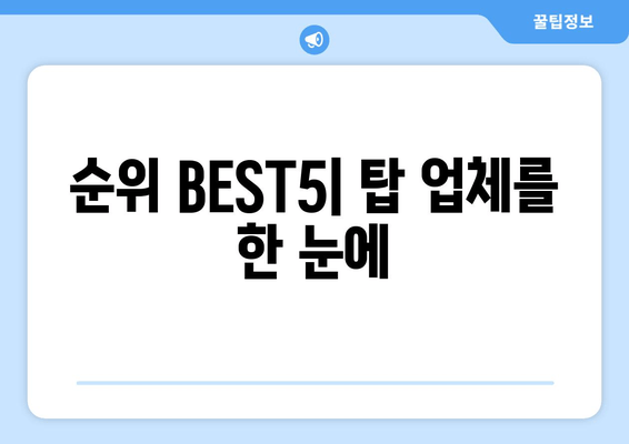 순위 BEST5| 탑 업체를 한 눈에