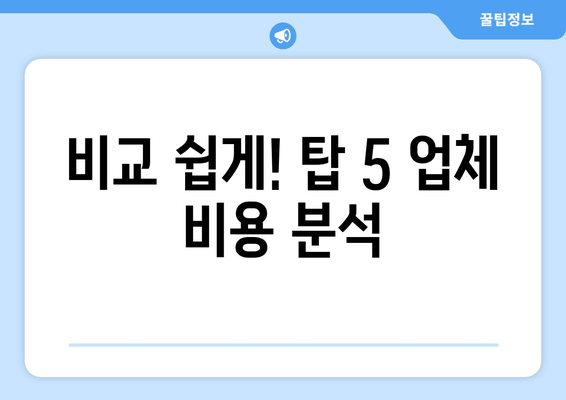 비교 쉽게! 탑 5 업체 비용 분석