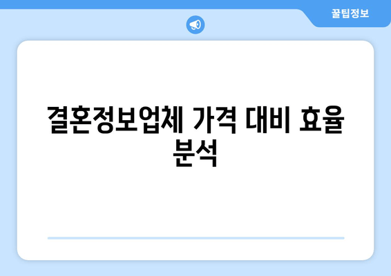 결혼정보업체 가격 대비 효율 분석