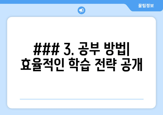 ### 3. 공부 방법| 효율적인 학습 전략 공개