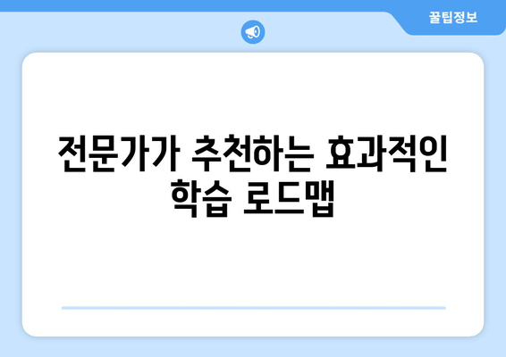 전문가가 추천하는 효과적인 학습 로드맵