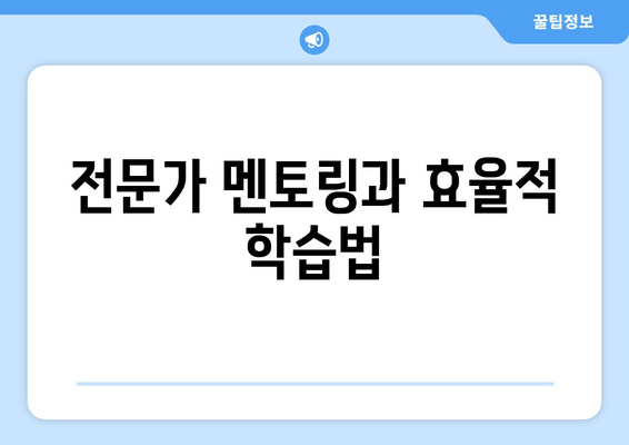 전문가 멘토링과 효율적 학습법