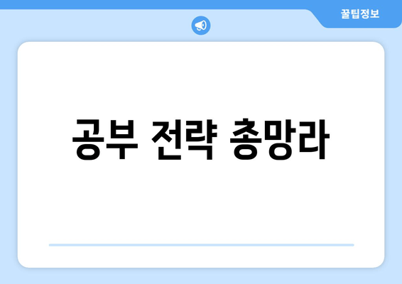 공부 전략 총망라