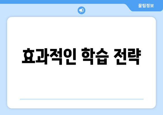 효과적인 학습 전략