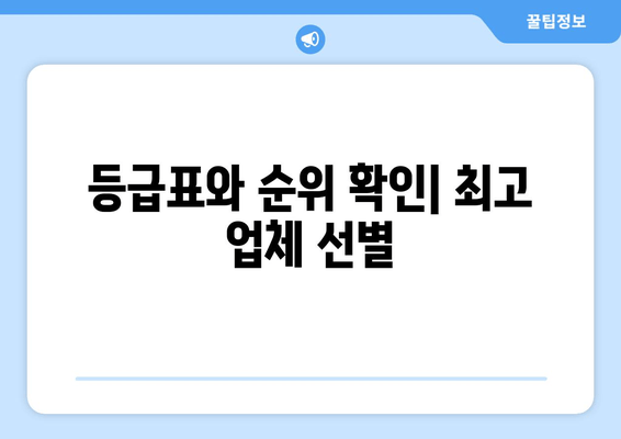 등급표와 순위 확인| 최고 업체 선별