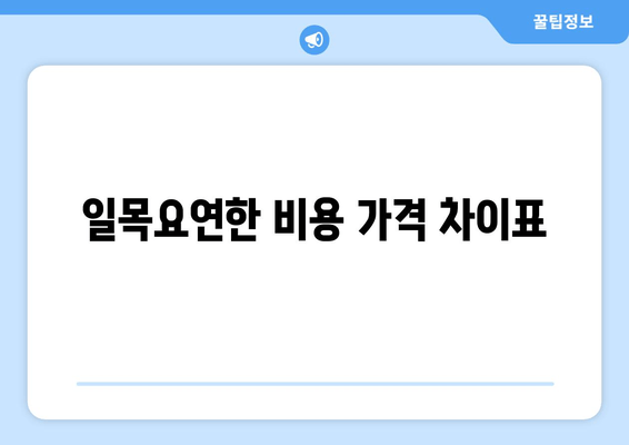 일목요연한 비용 가격 차이표