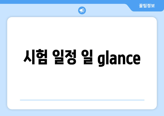 시험 일정 일 glance