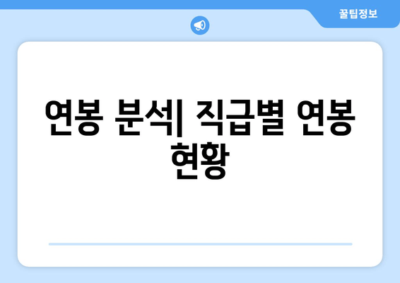 연봉 분석| 직급별 연봉 현황