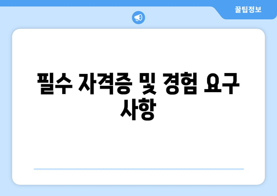 필수 자격증 및 경험 요구 사항