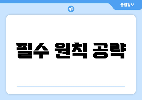 필수 원칙 공략