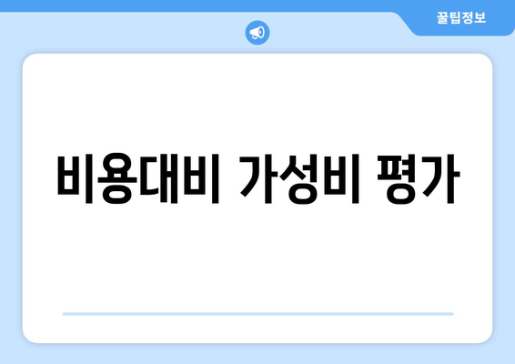 비용대비 가성비 평가