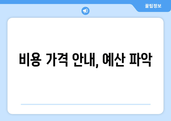 비용 가격 안내, 예산 파악