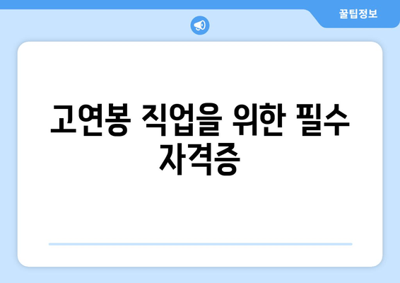 고연봉 직업을 위한 필수 자격증