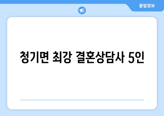 청기면 최강 결혼상담사 5인