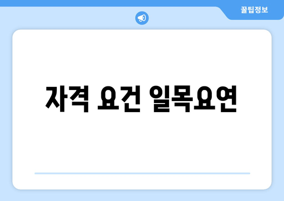 자격 요건 일목요연